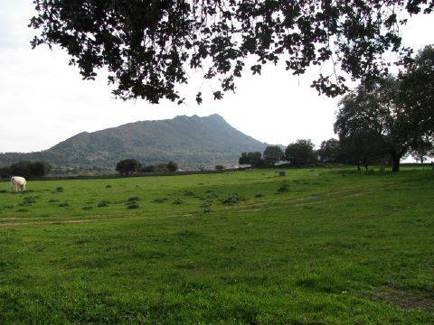 Santa Cruz de la Sierra