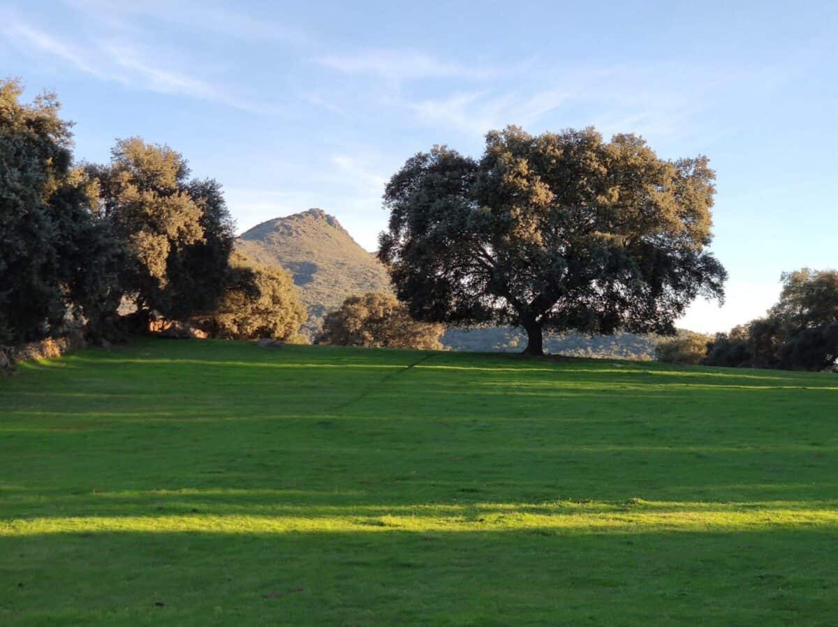 vista de la sierra de santa cruz